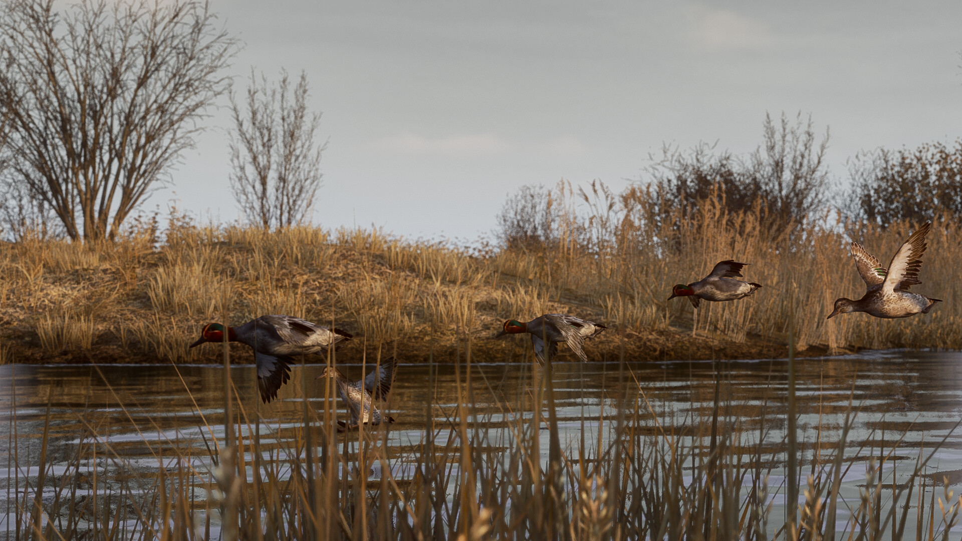 ss_0e19cbfdbe171c60bd049e70f75df0c52a3a4775.1920x1080