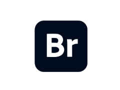 Adobe Bridge（2017-2023版合集）中文免费版下载-电玩联盟